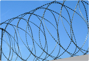 СББ спиралевидный барьер безопасности 900х35х5 СББ спиралевидный барьер безопасности 900х35х5