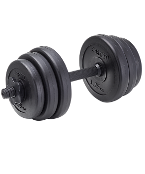 Гантель разборная пластиковая в коробке DB-717, 6,5 кг