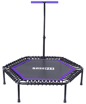 БЕЗ УПАКОВКИ Батут TR-401 101 см с держателем, фиолетовый